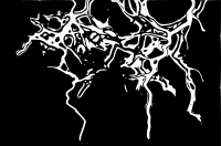 lightning 10
