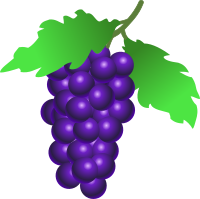 grapes