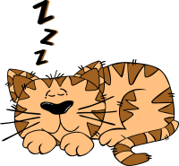 Cartoon Cat Sleeping