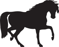horse silhouette