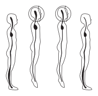 Body postures