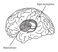 Braing in Space labeled