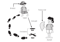 Navigating without visual cues