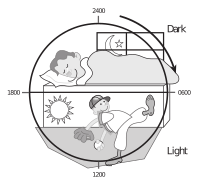 Kids Needs Sleep and Play