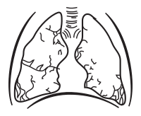 Lungs without Coloring
