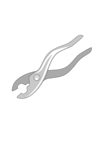 Pliers iss activity sheet p2