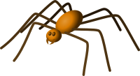 Spider