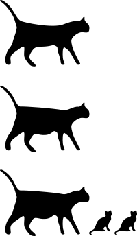 cat icons