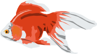Goldfish