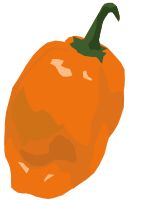 Habanero pepper