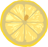 Lemon slice