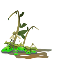 distopia