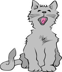 Kitten Yawning