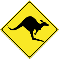 Warning kangaroos ahead