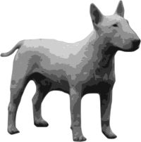 bullterrier grayscale