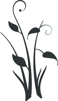 decorative form