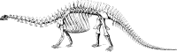 Brontosaurus