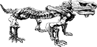 Pareiasaurus