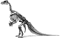 Iganodon