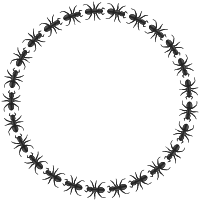 ant border circle