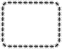 ant border rectangle