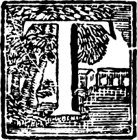 decorative letter T