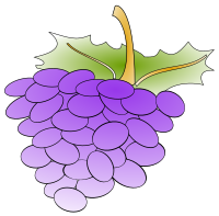 grapes 01