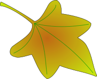 leaf 01