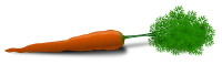 Carrot