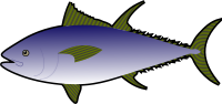 Thunfish