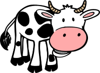 Chewing cow