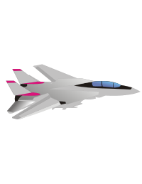 F14 Tomcat Fighter Jet