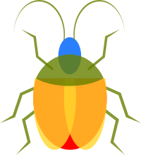 Insect