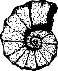 ceratite