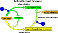 elimination de la pollution