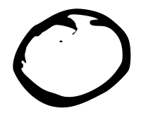 Letter O or enzo