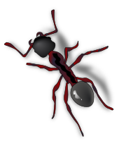 ant