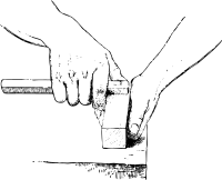 the thumb is opposite the spur