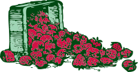 strawberries