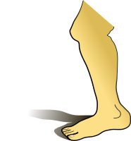 Leg