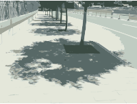 Tree Shadows Caochangdi 2009-06-10 11.44.17