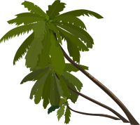 palm-trees