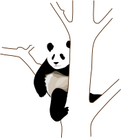 giant-panda-2