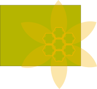 Hexagon background
