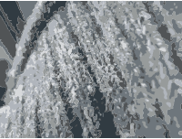Wool Texture