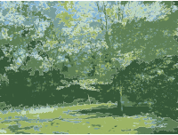 Parents Woods in Missouri
