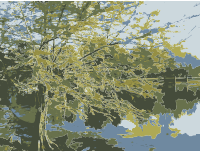 Tree Over Pond