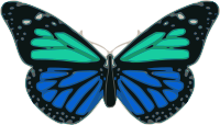 Butterfly 02 Turquoise Blue
