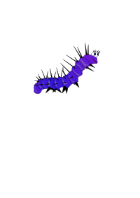 caterpillar gusano