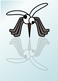 mosquito peterm 01